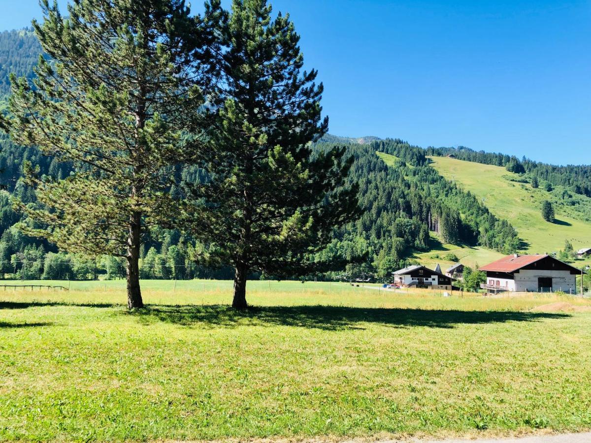 Abondance Cent Cristaux B&B 외부 사진